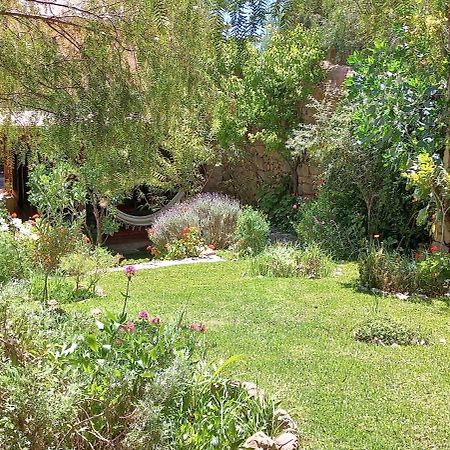 Apartamento en el vivero Tilcara Exterior foto